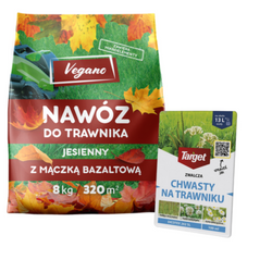 Domyślna nazwa