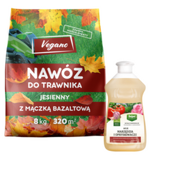 Domyślna nazwa