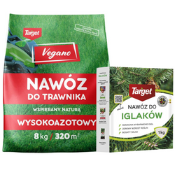 Domyślna nazwa