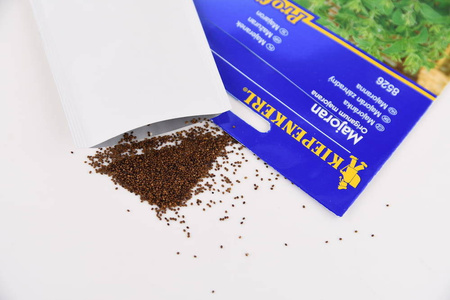 Majeranek jednoroczny Origanum majorana