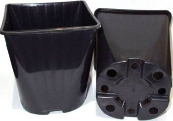 Doniczki Produkcyjne Kwadratowe 9x9 - 50 szt. Zoigarden