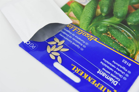 Ogórek konserwowy Diamant F1 Cucumis sativus