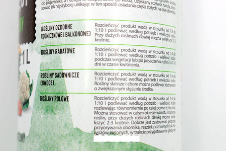 Domyślna nazwa