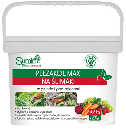 Domyślna nazwa
