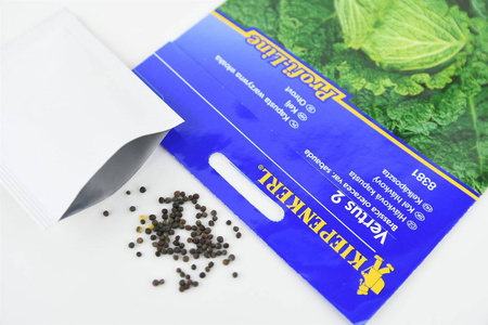 Kapusta warzywna włoska Vertus 2 Brassica oleracea var. sabauda