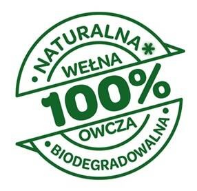 Domyślna nazwa