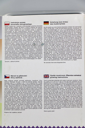 Zestaw Do Uprawy Grzybów - Pieczarka Biała 3 l