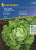 Sałata głowiasta Dynamite Lactuca sativa var. Capitata