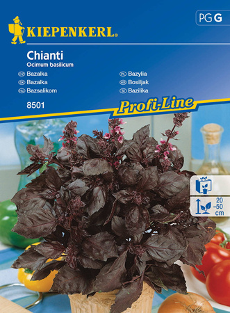 Bazylia Chianti Kiepenkerl