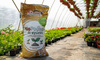 Bio ziemia do wysiewu - Paleta 24x50 l Ekagro