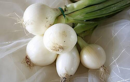 Cebula dymka biała Snowball 250 g