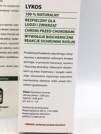 Domyślna nazwa