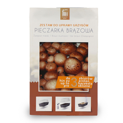 Zestaw Do Uprawy Grzybów - Pieczarka Biała 3 l