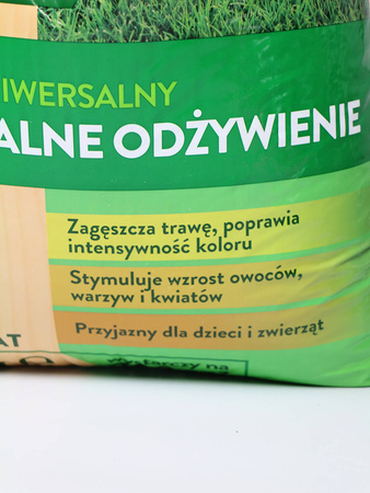Domyślna nazwa