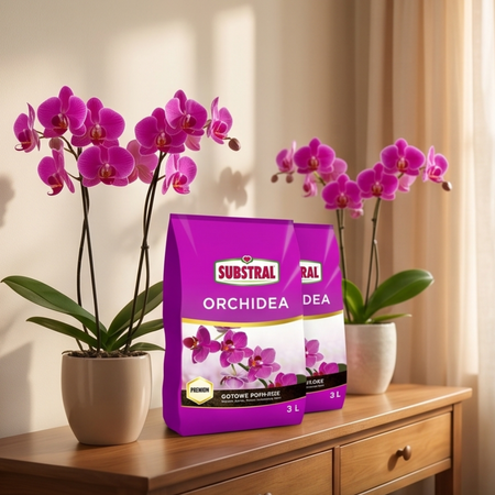 Zestaw 2x Substral Podłoże Do Orchidei 3 l