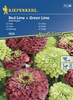 Cynia Red Lime + Green Lime – Kiepenkerl
