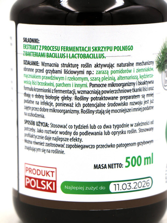 Domyślna nazwa