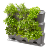 Ogród wertykalny NatureUp! – zestaw podstawowy – Gardena