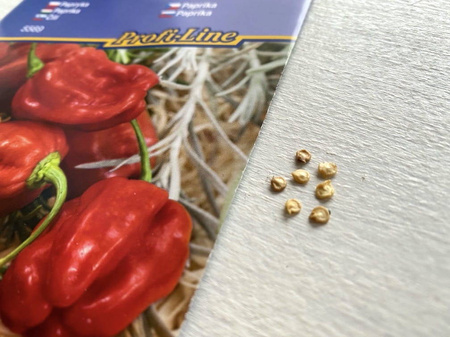 Papryka Habanero czerwona - Kiepenkerl