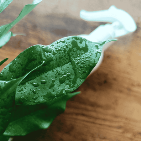 Regenerator do roślin doniczkowych – Vegano 300 ml