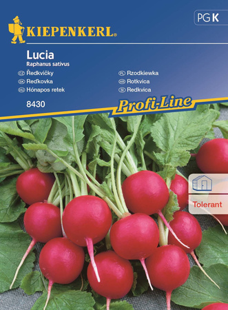 Rzodkiewka Lucia F1 Raphanus sativus var. sativus