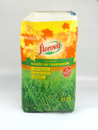 Domyślna nazwa