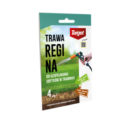Regina 100 g nasiona trawy do uzupełniania ubytków w trawniku