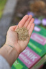 Nasiona trawy – Vegano – trawnik samonawożący – 1 kg Target