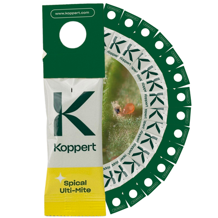 Zestaw Dobroczynek Kalifornijski 15 szt - Vegano