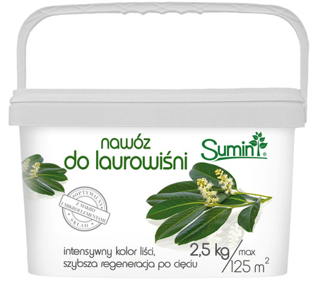 Domyślna nazwa