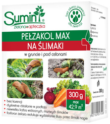 Domyślna nazwa