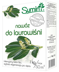 Domyślna nazwa