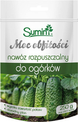 Domyślna nazwa