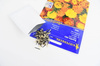 Aksamitka Bonita Mix Tagetes patula