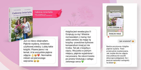 Domyślna nazwa