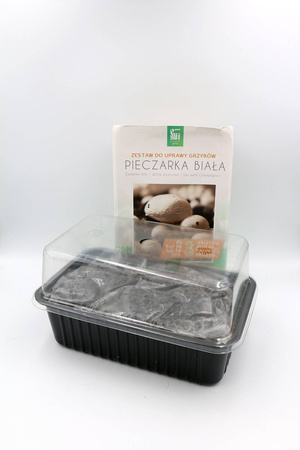 Zestaw Do Uprawy Grzybów - Pieczarka Biała 3 l