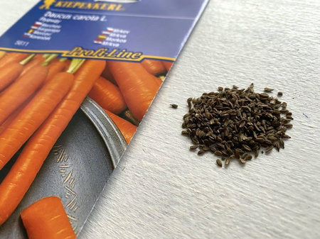 Marchew Flyaway odporna - Kiepenkerl