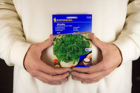 Pietruszka Afrodite Petroselinum crispum var. crispum