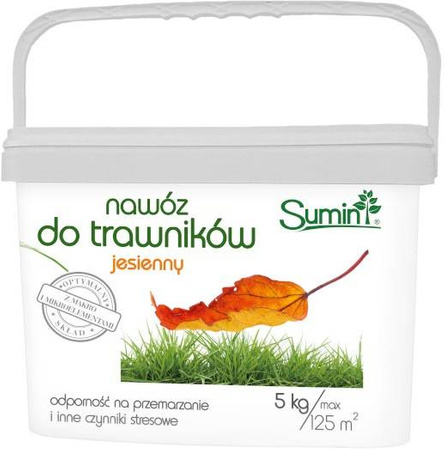 Domyślna nazwa
