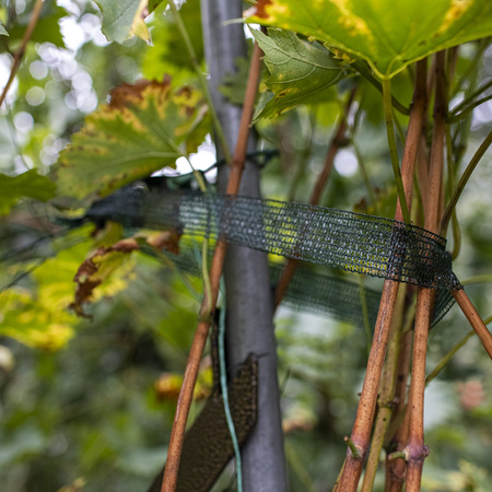 Taśma do Podwiązywania Roślin 3 cm x 50 m