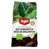 Domyślna nazwa