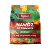 Domyślna nazwa