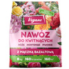 Domyślna nazwa