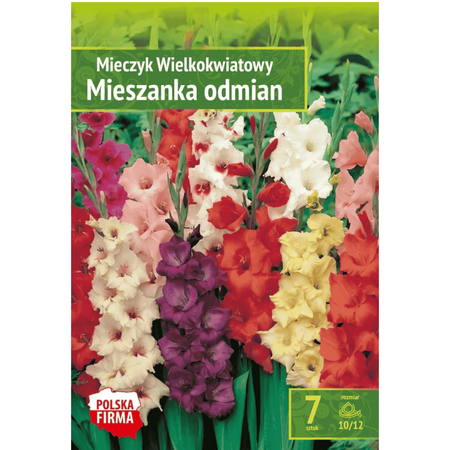 Domyślna nazwa