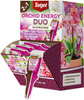 Odżywka do roślin – Orchid Energy DUO – 35 ml Target