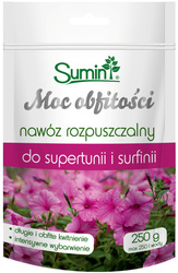 Domyślna nazwa