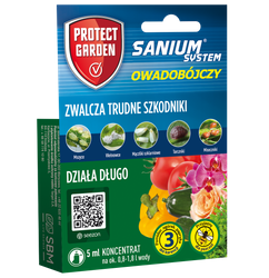 Domyślna nazwa