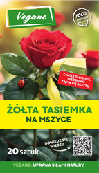 Domyślna nazwa