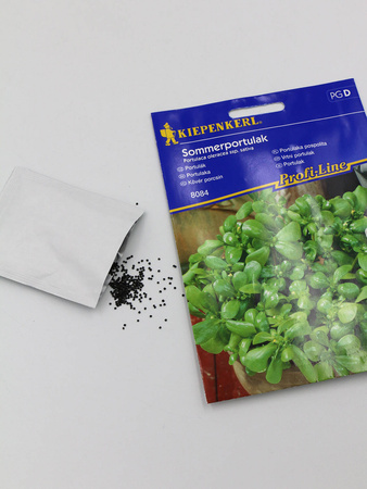 Portulaka pospolita ,,Sommerportulak’’- Kiepenkerl