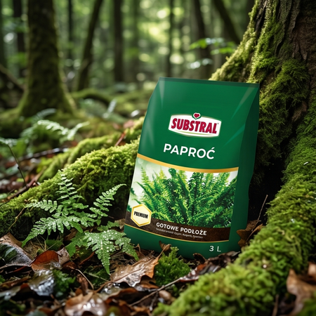 SUBSTRAL podłoże PAPROĆ 3L